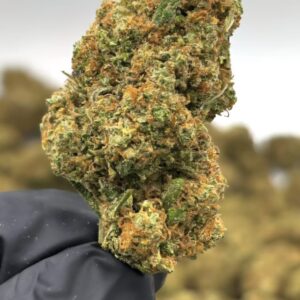 Blueberry CBD