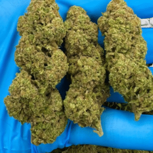 WHITE WIDOW