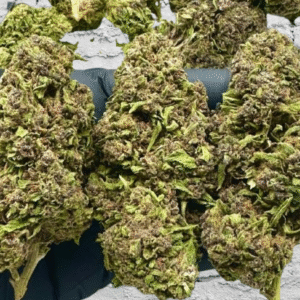 LIME PURPLE