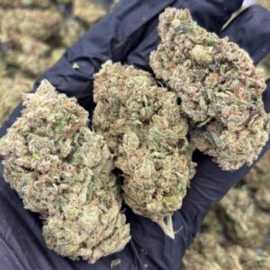Panama Gold CBD.