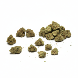 OFERTA - Hydro | Packs grande