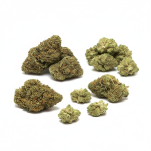 OFERTA - Glasshouse | Packs grande