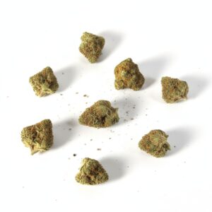 OFERTA - Small buds Glasshouse Gorilla